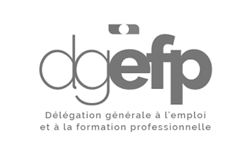 Logo DGEFP