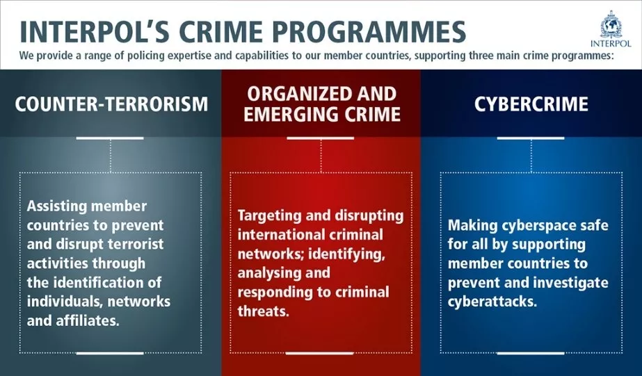 Interpol's crime programmes