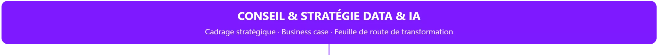 Conseil & Stratégie Data & IA Conseil & Stratégie Data & IA : Cadrage stratégique, Business case, Feuille de route de transformation